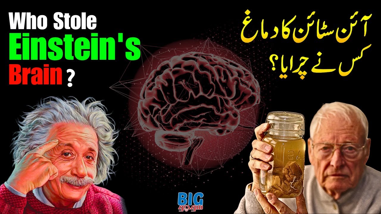 Who Stole Einstein's Brain?
