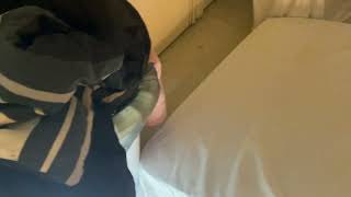 Bed Bugs All Over the Sheets