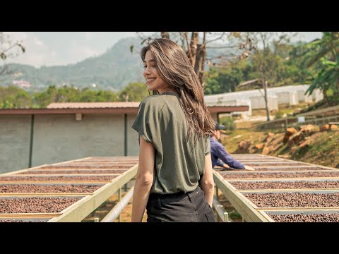 ไร่กาแฟในไทยทำโพรเซสพิเศษ | สาวบราซิลพาไปเที่ยว