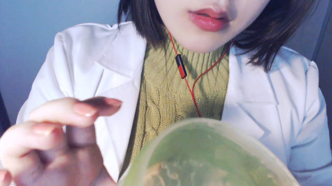 Asmr Ppomo
