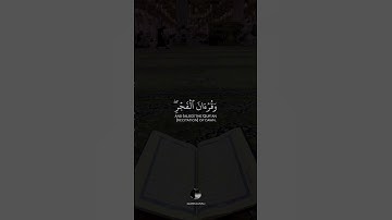 ( أقم الصلاة لدلوك الشمس إلى غسق الليل وقرآن الفجر إن قرآن الفجر كان مشهودا ) || القارئ إسلام صبحي