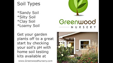 The 4 Basic Soil Types