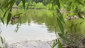 ماتيسرمن سورة مريم بصوت عبد الحكيم الجزائري