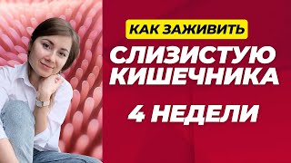 Как заживить слизистую кишечника? Часть 2