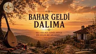 Bahar Geldi Dalıma