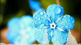 32Stitches - Wish you the Best[SNC Release]