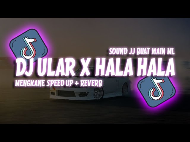 DJ ULAR X HALA HALA MENGKANE SPEED UP + REVERB class=
