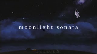 beethoven - moonlight sonata (slowed & reverb)