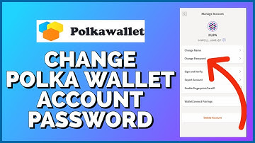 How To Change Polkadot Wallet Account Password 2023?