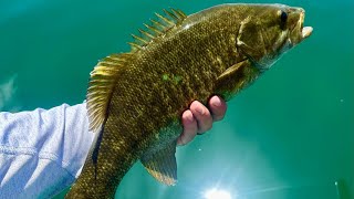 2025 BASSMASTER OPEN ON KENTUCKY LAKE! (Toughest event ever!)