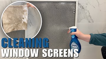 How to Clean Window Screens | 2 Methods