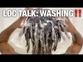 This is why you NEED to WASH YOUR STARTER LOCS!
