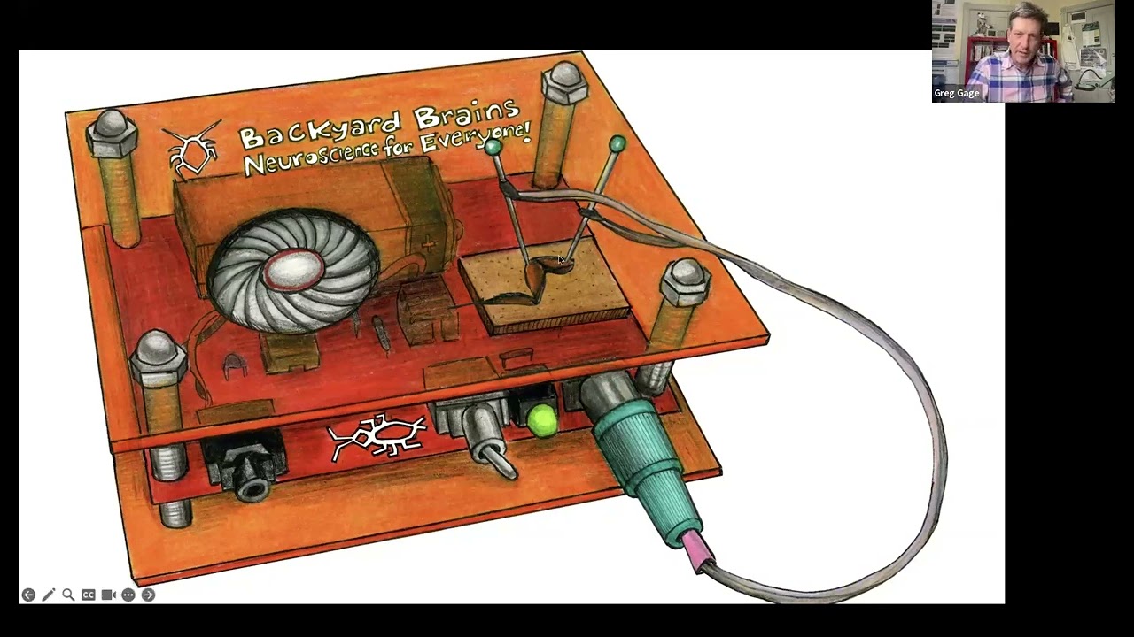 Backyard Brains Heart and Brain Spikerbox, Biology/Life Science