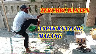 Silat Terumbu Banten || Sinar Harapan Giri Jaya || SHGJ Production