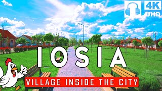 IOȘIA, a Village Within ORADEA 🇷🇴 | How Most People in Romania Live [4k/60 UHD, Binaural]