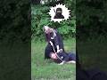 NINJA FIGHTING TECHNIQUES 🥷🏻‼️ How To FIGHT with a KUSARIGAMA: Ninjutsu Training #Shorts