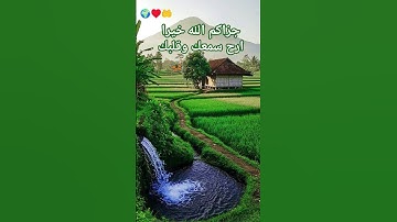 اللهم اجعل القران الكريم ربيع قلوبنا ونور صدورنا وجلاء أحزاننا وجبرخواطرنا وشفاء امراضنا 🤲🤲🤲🌍♥️