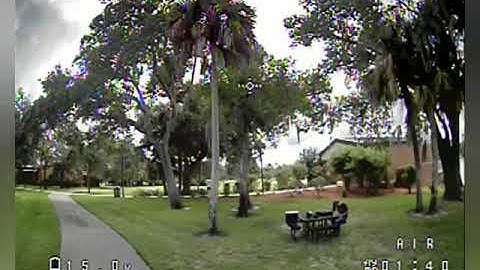 Twig xl tree gaps and ripping