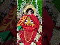 জগন্নাথ দেবের চতুর্থ দিনের অপূর্ব সিঙ্গার দর্শন করুন 🧡❤️💛 জয় জগন্নাথ 🪷