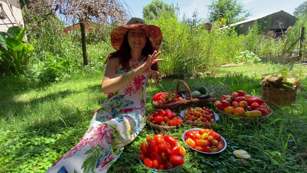 Ultimos dia del año, cosechando, Tomates, zapallitos, choclo, cucamelon, zuchinis, repollo, ajo