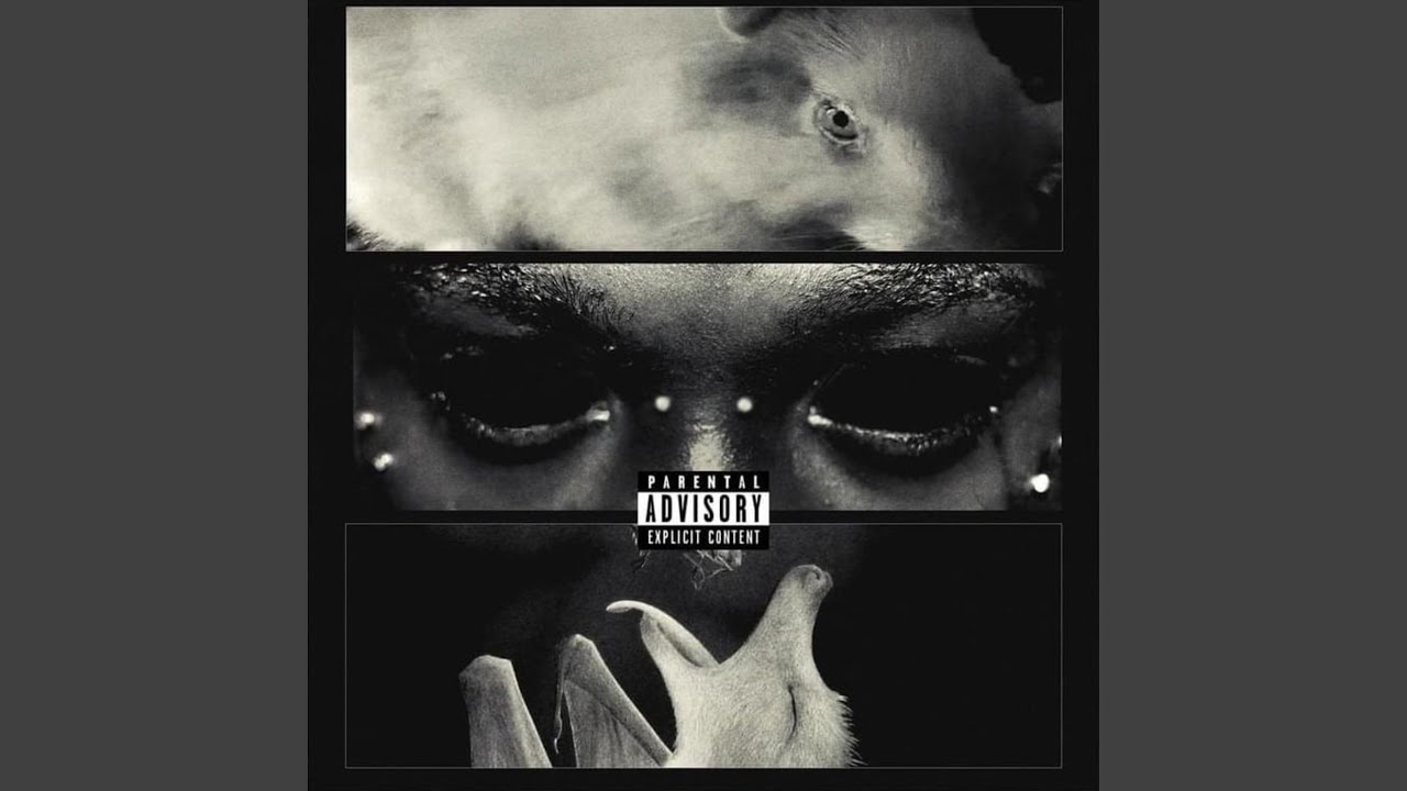Watch perc up on YouTube Watch perc up on YouTube