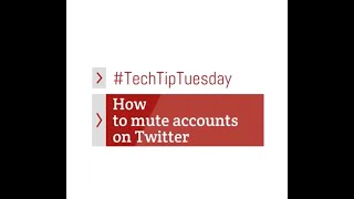 How to: Mute Accounts on Twitter