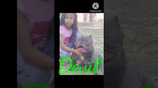 Ambully lover my dog #dance #firstvlog #trending #viral #ambullyhttps://youtu.be/y-1575pG-kc Resimi