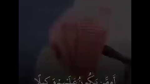الشيخ ناصر القطامي حفظه الله تلاوة خاشعة ❤️
