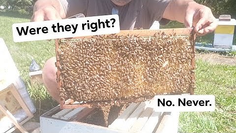 Foundationless Frame Beekeeping and Adding a Comb Honey Jar Super