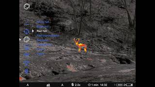 Pulsar Thermion 2 LRF XP50 Pro