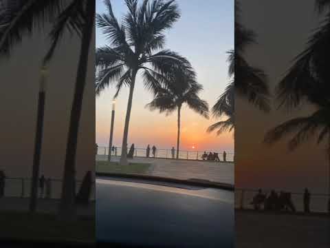 في أي فئة من العاملين تقرر ان تضع نفسك