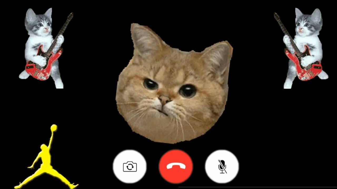 🍎 Apple Ringtone , cats iPhone pro, iphone , Cat Ringtone 1800 iPhone