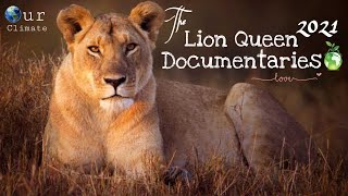 [Lion Pride 2022] Malika : The Lion Queen Documentary 2022[English subtitles] - Nat Geo wild.