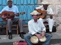 Гавана, Habana buskers