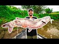 NASTY River Monster CATFISHING!!! (Catch Clean Cook)