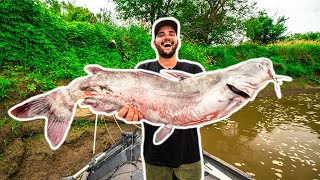 NASTY River Monster CATFISHING!!! (Catch Clean Cook)