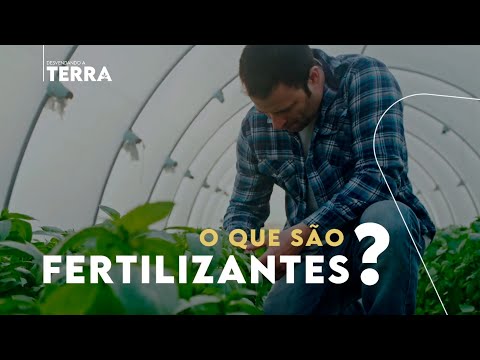Vídeo: Informações sobre fertilizantes balanceados: usando fertilizantes vegetais balanceados