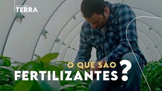 O que é fertilizante e para que serve?