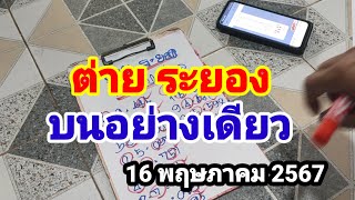 ต่าย ระยอง#บนอย่างเดียว#16/5/67