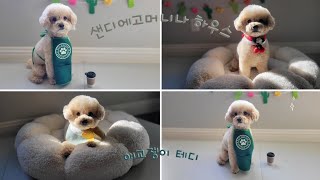 '커피 한잔 할래요?' 애교쟁이 귀염둥이 테디와 함께 한 영상입니다.