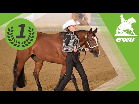 Nike Lorenz | Finale Showmanship at Halter | EWU German Open 2017