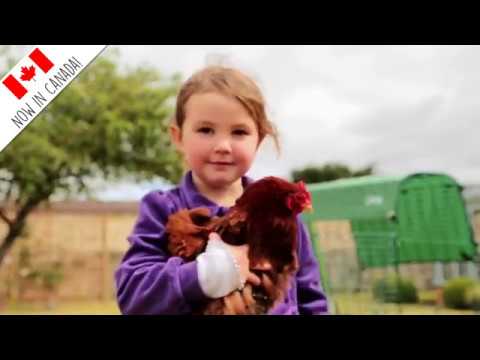 Snap Lock Chicken Coops By Formex