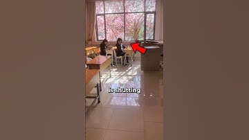 Korean schools are closing! 🇰🇷🏫 #korea #japan