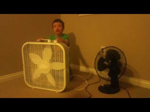 My Fan Collection