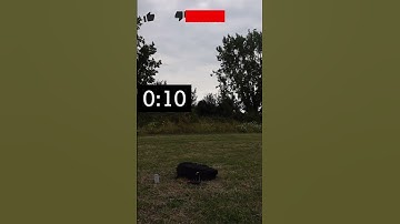 Testing DJI Mini 3 Return-to-Home | Lost signal #djimini3 #drone #dronevideo