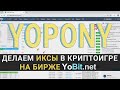 0.45 биткоина или 3500$ за 3 минуты. Результаты игры YoPony на бирже YoBit. Х15 на ставках