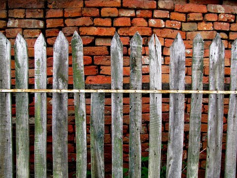 Video: Matices de madera que definen la casa M4 en Nagasaki, Japón