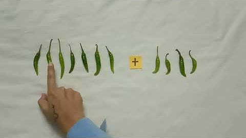 Maths - Addition by Counting Forward - Grade 2