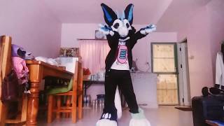 try to dance in Fursuit! (I'm bored ;3)