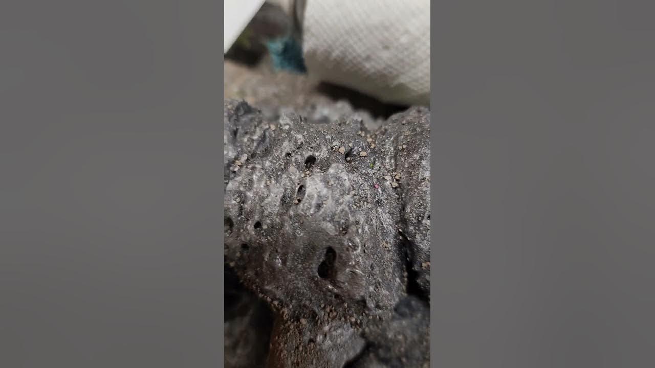 How to Spray paint spray foam for your crawling course 101. Scx24 TRX4